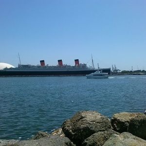 Meet your Posher, Antonio